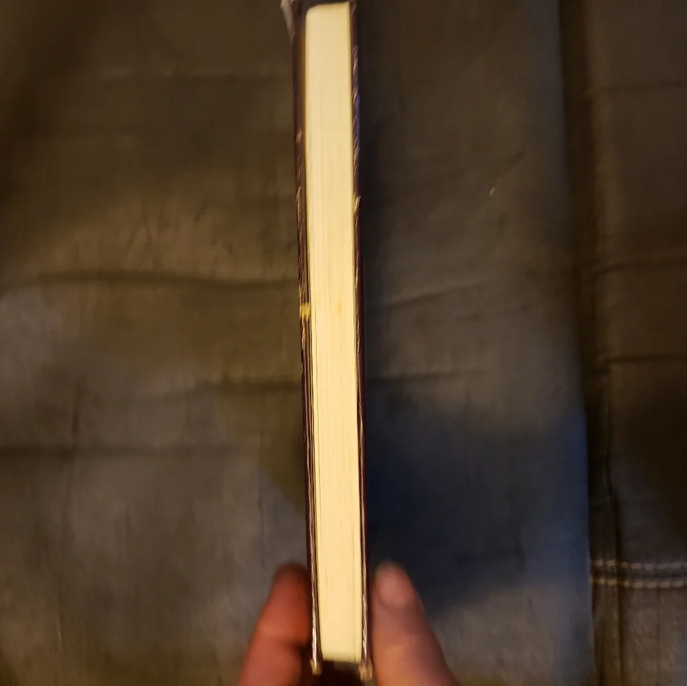 Mrs. Pollifax‎ and The Second Thief by Dorothy Gilman Hardback